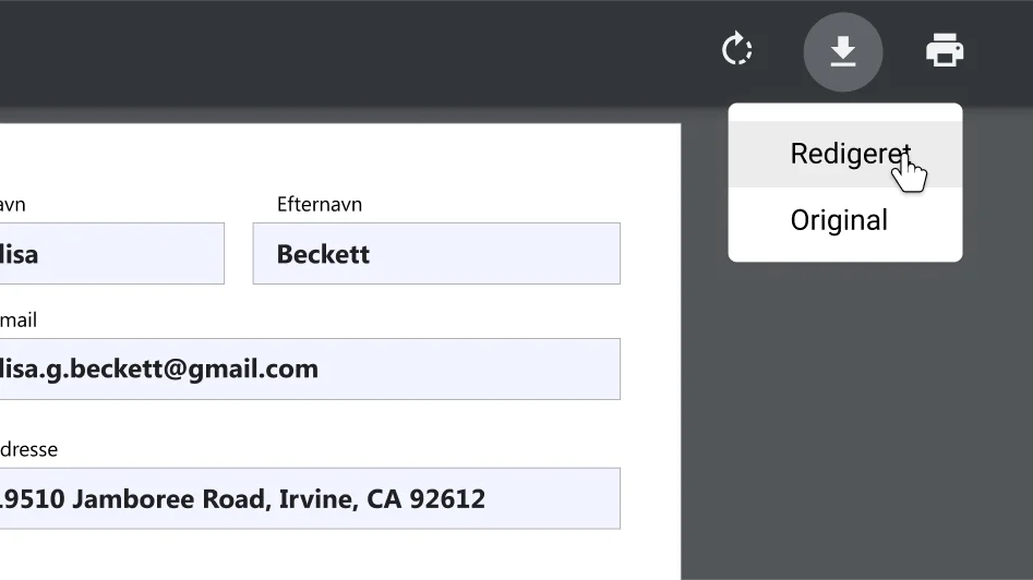 Chrome-browservindue med et åbent PDF-dokument, hvor der er zoomet ind på indstillingsmenuen for download og udskrivning.