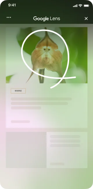 होम डेकोर की साइट पर एक अनोखे फूल की इमेज दिख रही है. एक iPhone उपयोगकर्ता, पेज टूल खोलकर 