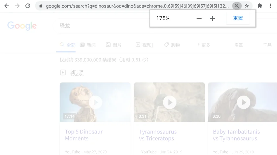 Chrome 浏览器窗口：其中打开的是一个正在使用“缩放”功能的网页。