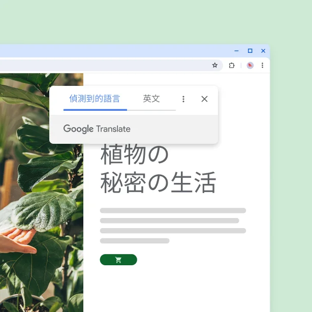 一個介紹植物的網站,內容譯文為「植物的祕密生活」