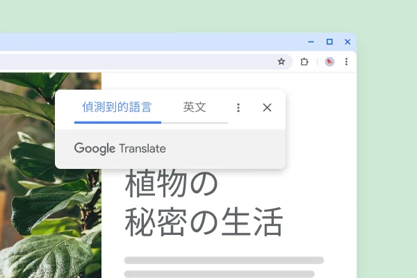 一個介紹植物的網站,內容譯文為「植物的祕密生活」