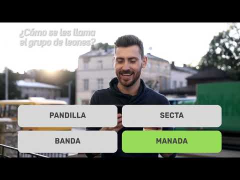 Imagen de la captura de pantalla