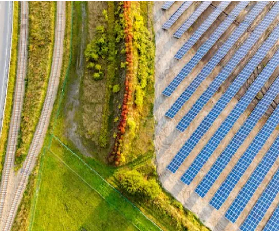 Un campo verde y una ruta de acceso junto a un parque solar